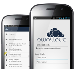Owncloud mobile